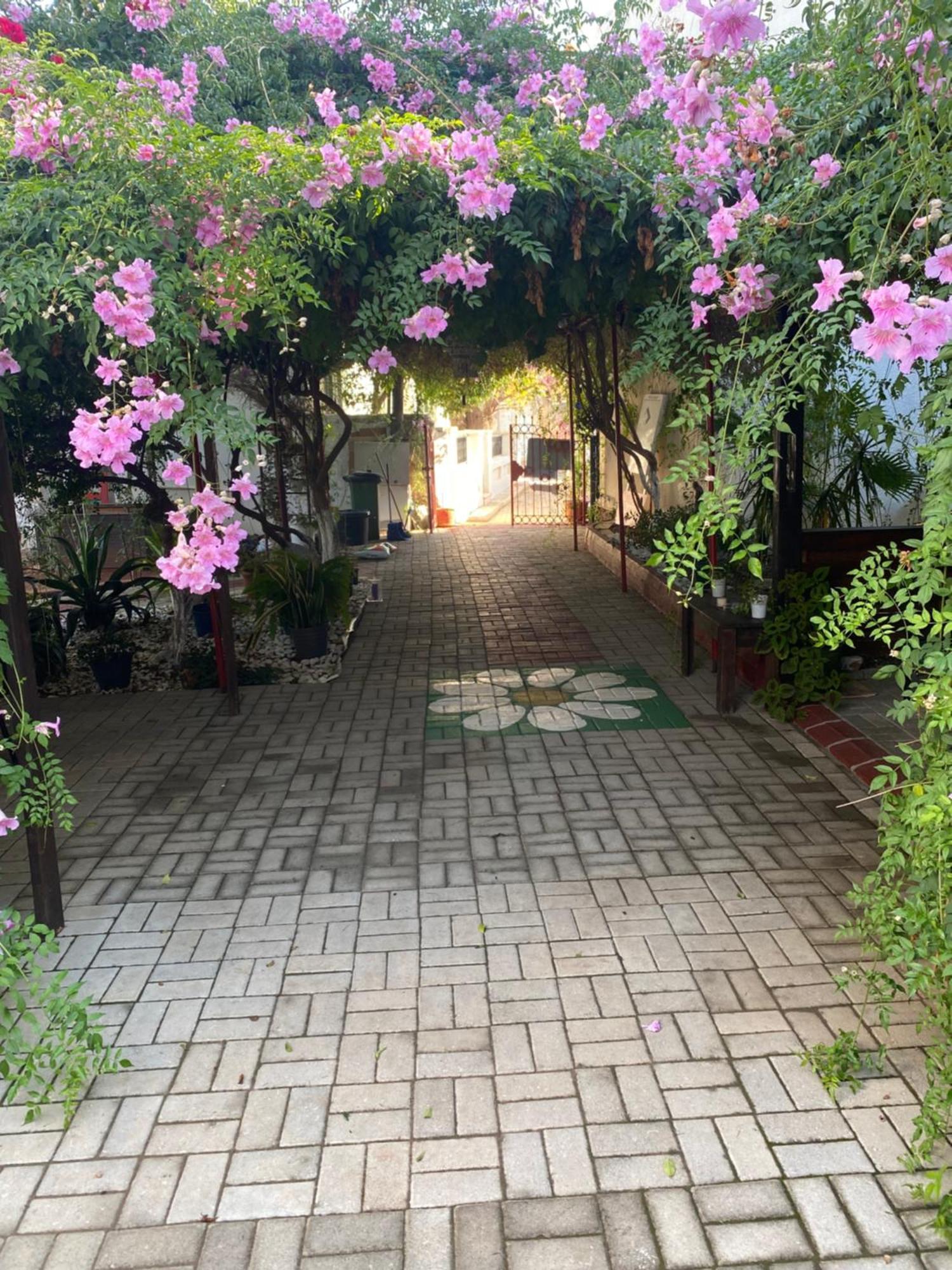 Betul Guest House Ammókhostos Eksteriør bilde