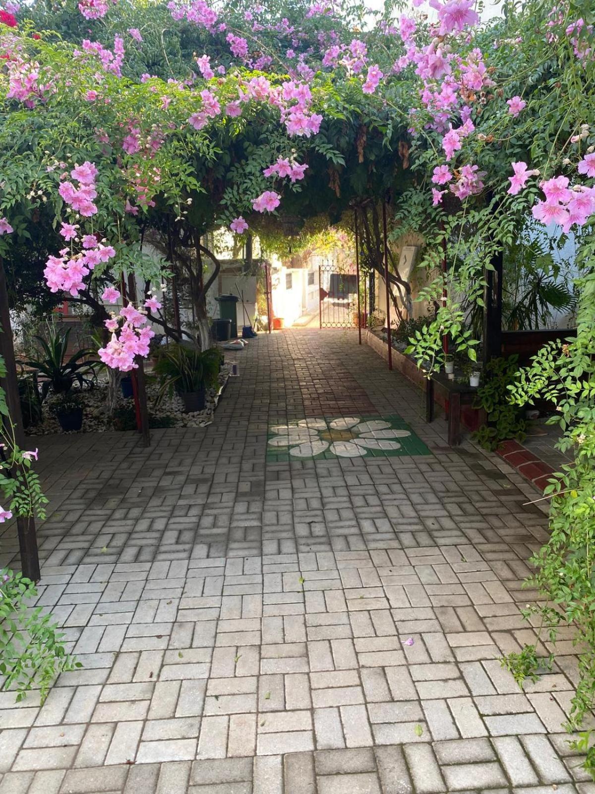 Betul Guest House Ammókhostos Eksteriør bilde